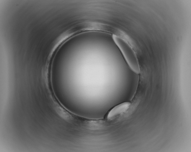 X0000112171138200908071153