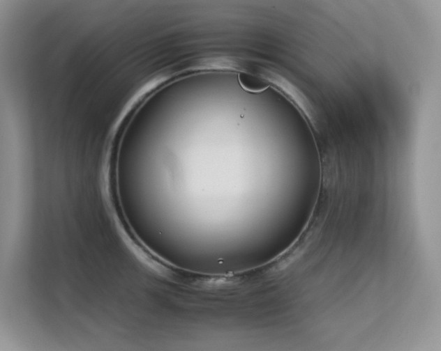 X0000112171139200908071153