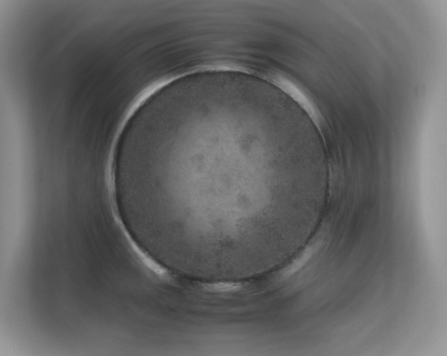 X0000112171141200908071153