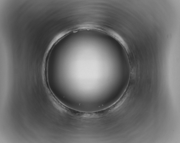 X0000112171146200908071153