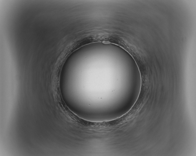 X0000112171153200908071152