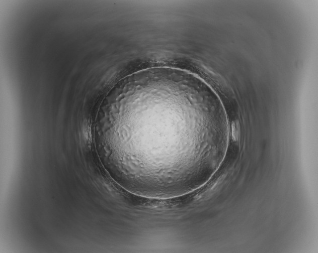 X0000112171155200908071152