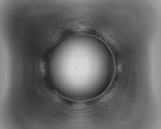 X0000112171156200908071152