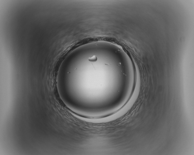 X0000112171157200908071152