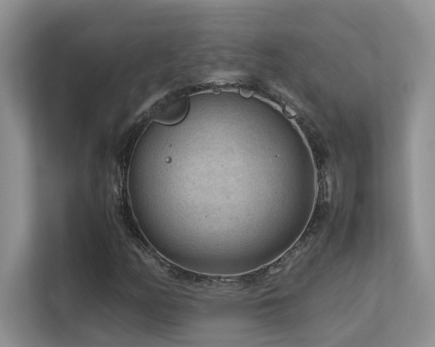 X0000112171158200908071152