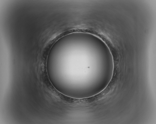 X0000112171159200908071152