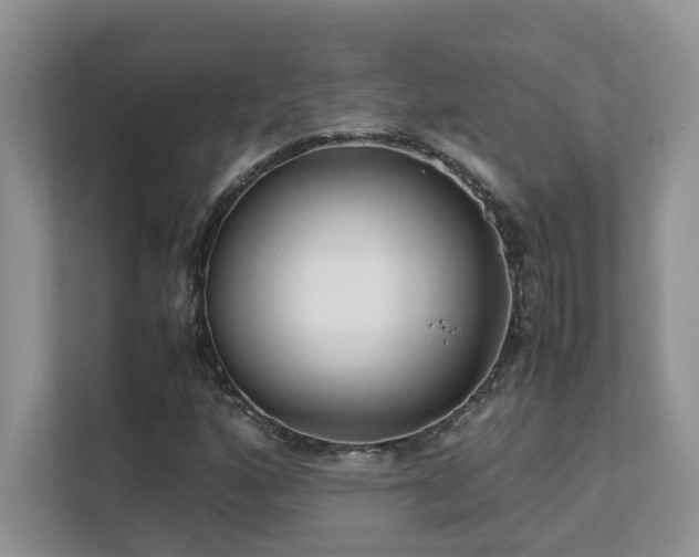 X0000112171160200908071152