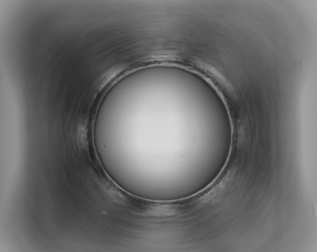 X0000112171162200908071152