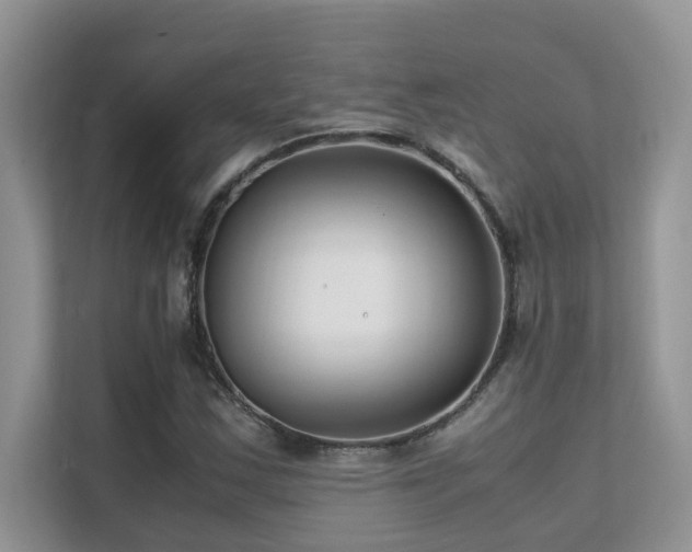 X0000112171163200908071152