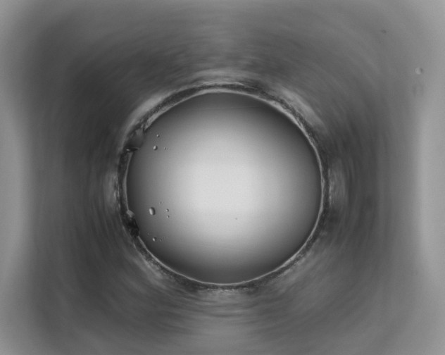 X0000112171164200908071152