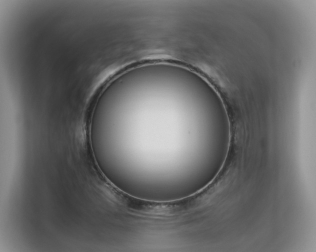 X0000112171167200908071152