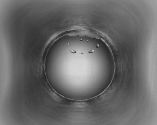 X0000112171168200908071152