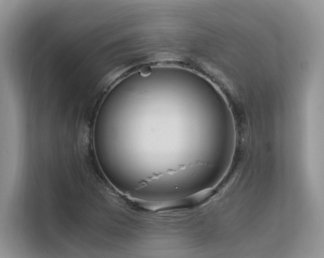 X0000112171169200908071152