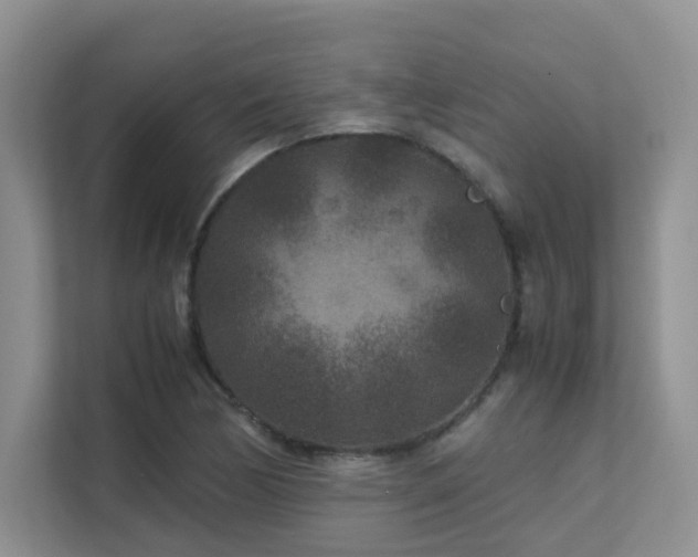 X0000112171170200908071152