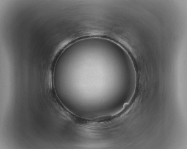 X0000112171171200908071152