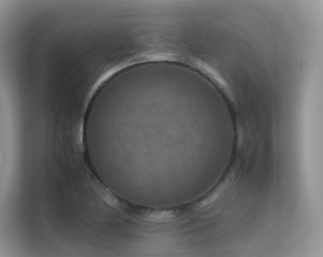 X0000112171174200908071152