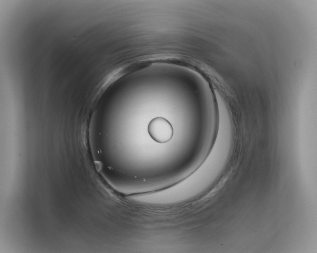 X0000112171177200908071152