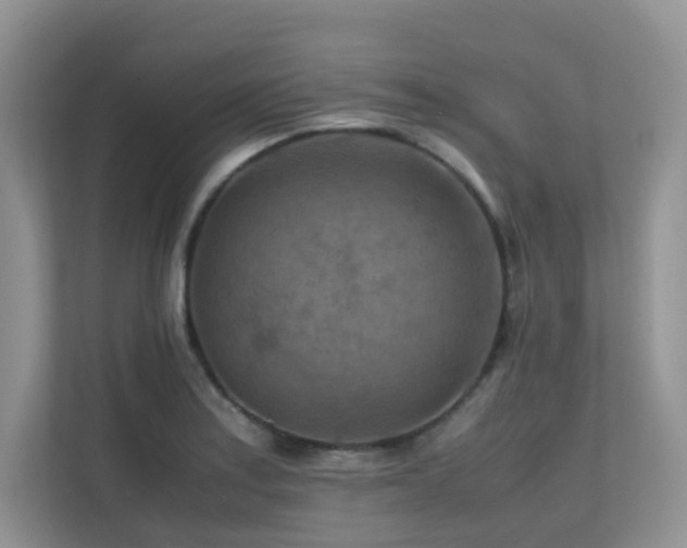 X0000112171179200908071152