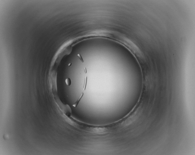 X0000112171180200908071152