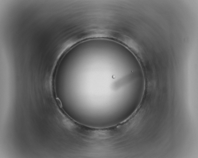 X0000112171181200908071152