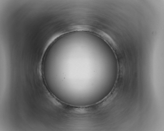 X0000112171182200908071152