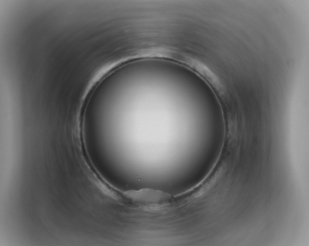 X0000112171184200908071152