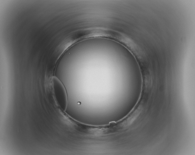 X0000112171185200908071152