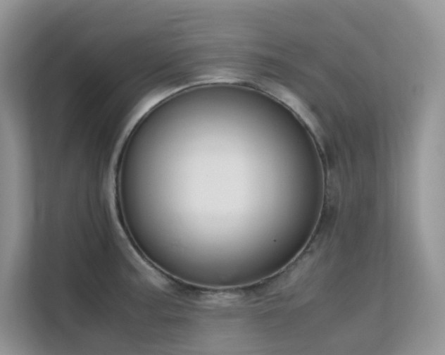 X0000112171187200908071152