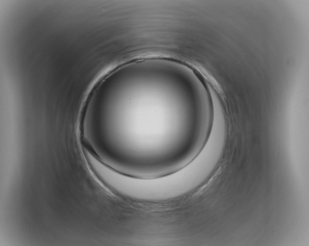 X0000112171189200908071152