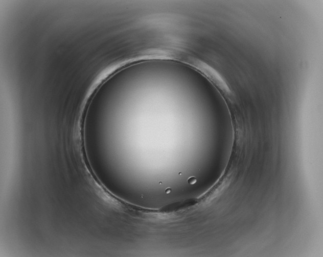 X0000112171192200908071152