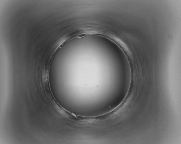 X0000112171193200908071152