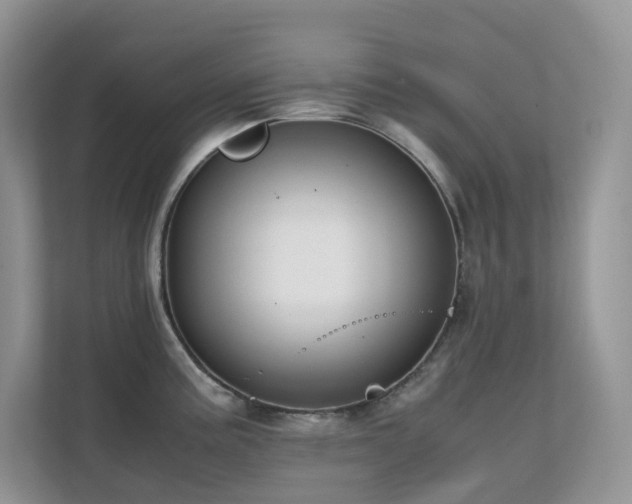 X0000112171195200908071152