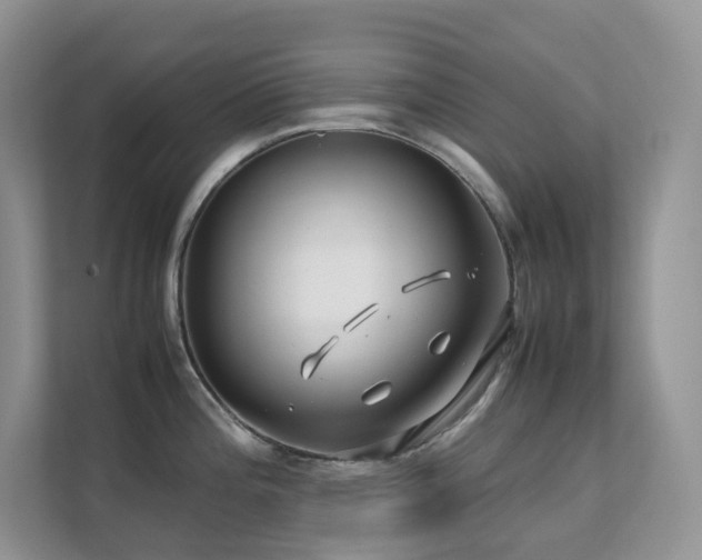 X0000112171196200908071152