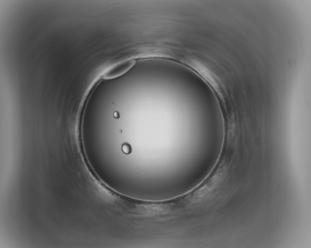 X0000112171197200908071152