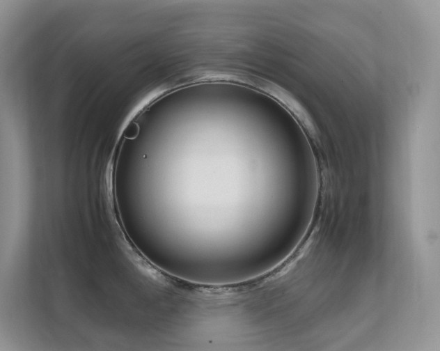 X0000112171198200908071152