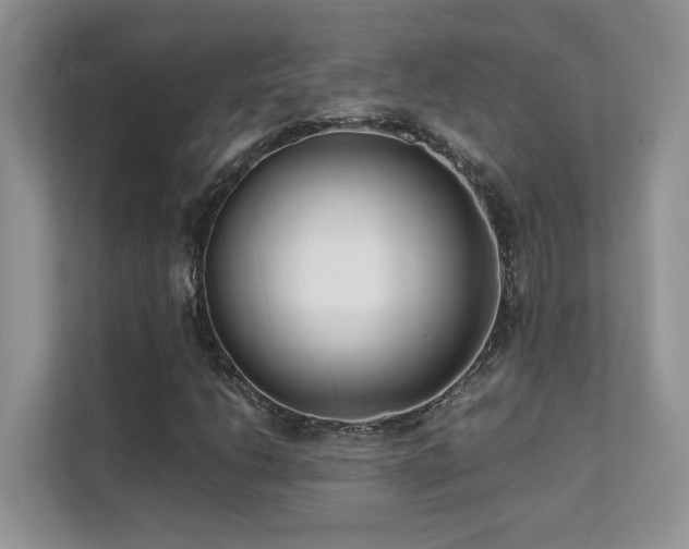 X0000112171206200908071151