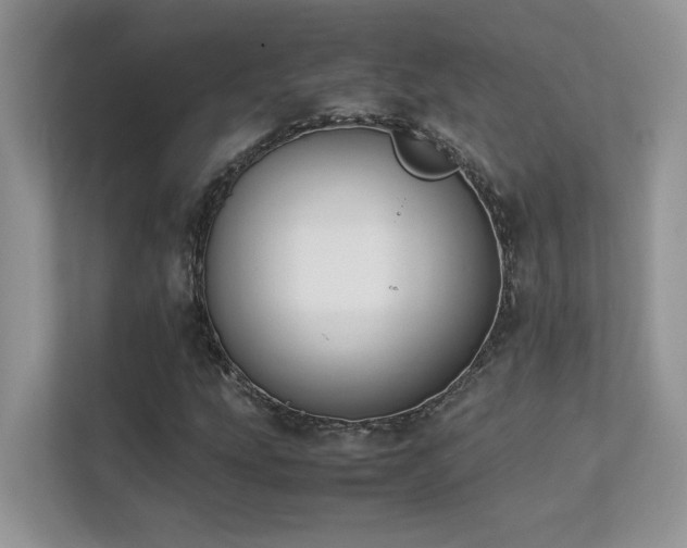 X0000112171207200908071151