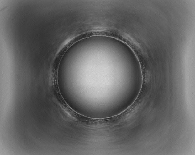 X0000112171208200908071151