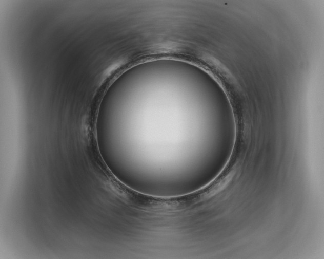 X0000112171210200908071151