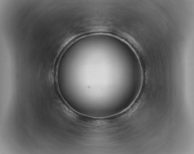 X0000112171212200908071151