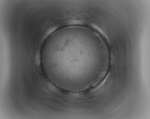 X0000112171213200908071151