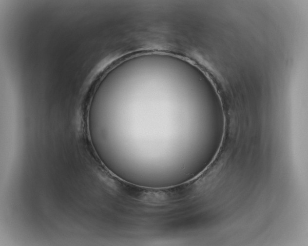 X0000112171215200908071151