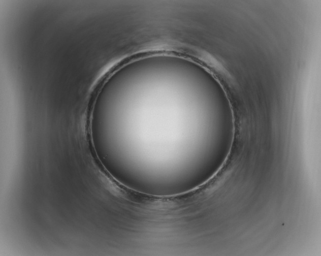 X0000112171216200908071151