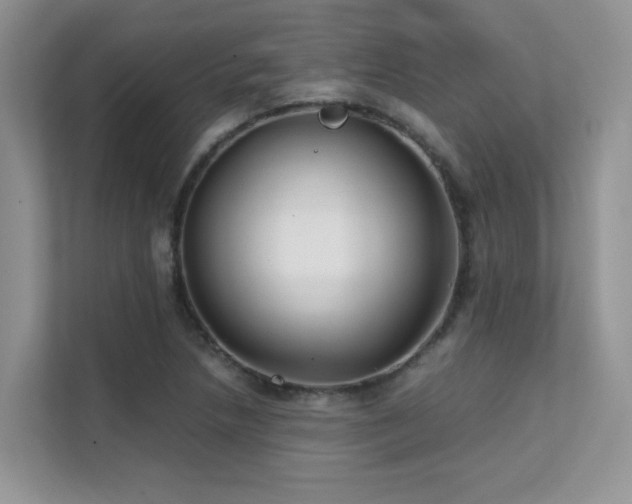 X0000112171218200908071151