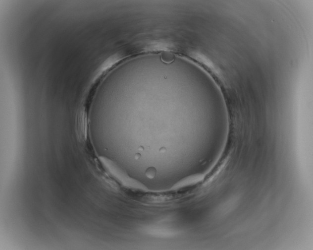 X0000112171219200908071151