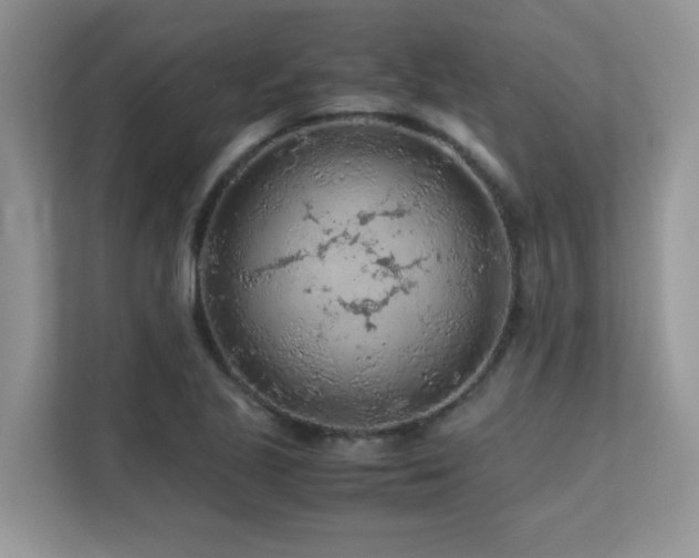 X0000112171221200908071151