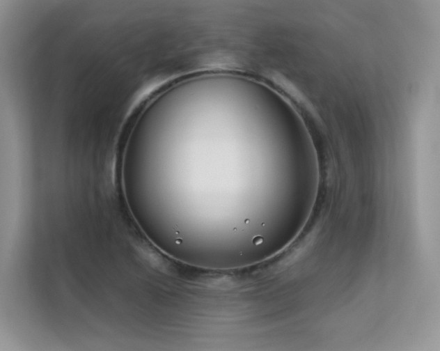 X0000112171222200908071151