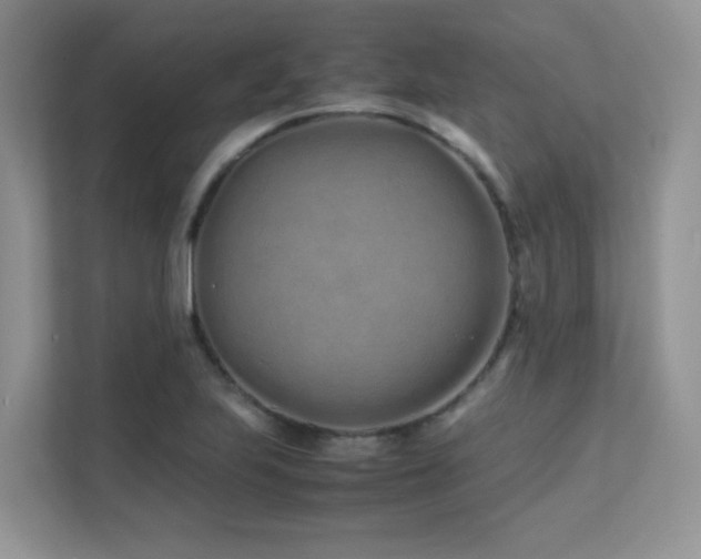 X0000112171223200908071151