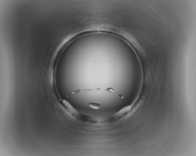 X0000112171224200908071151