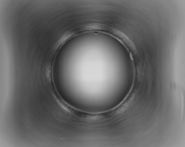 X0000112171225200908071151